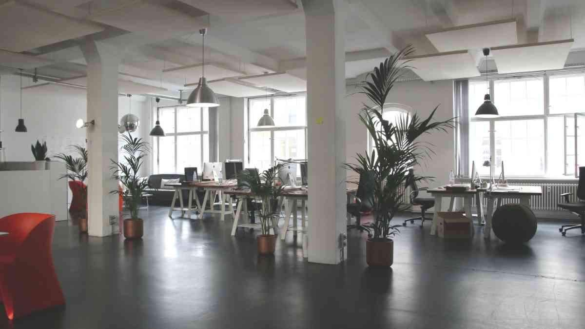 Altro esempio di Arredamento Ufficio Green