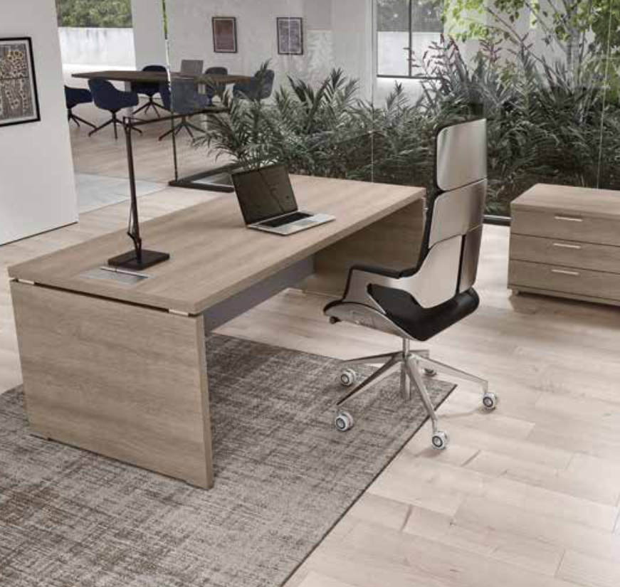 Sedie con Schienale Alto in Ufficio Direzionale